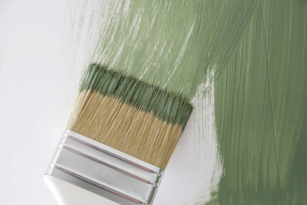 Best Mold Damage Restoration  in Seminole, OK